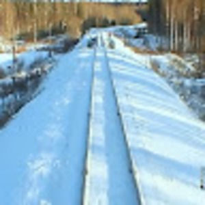 Meet your Posher, Tatum